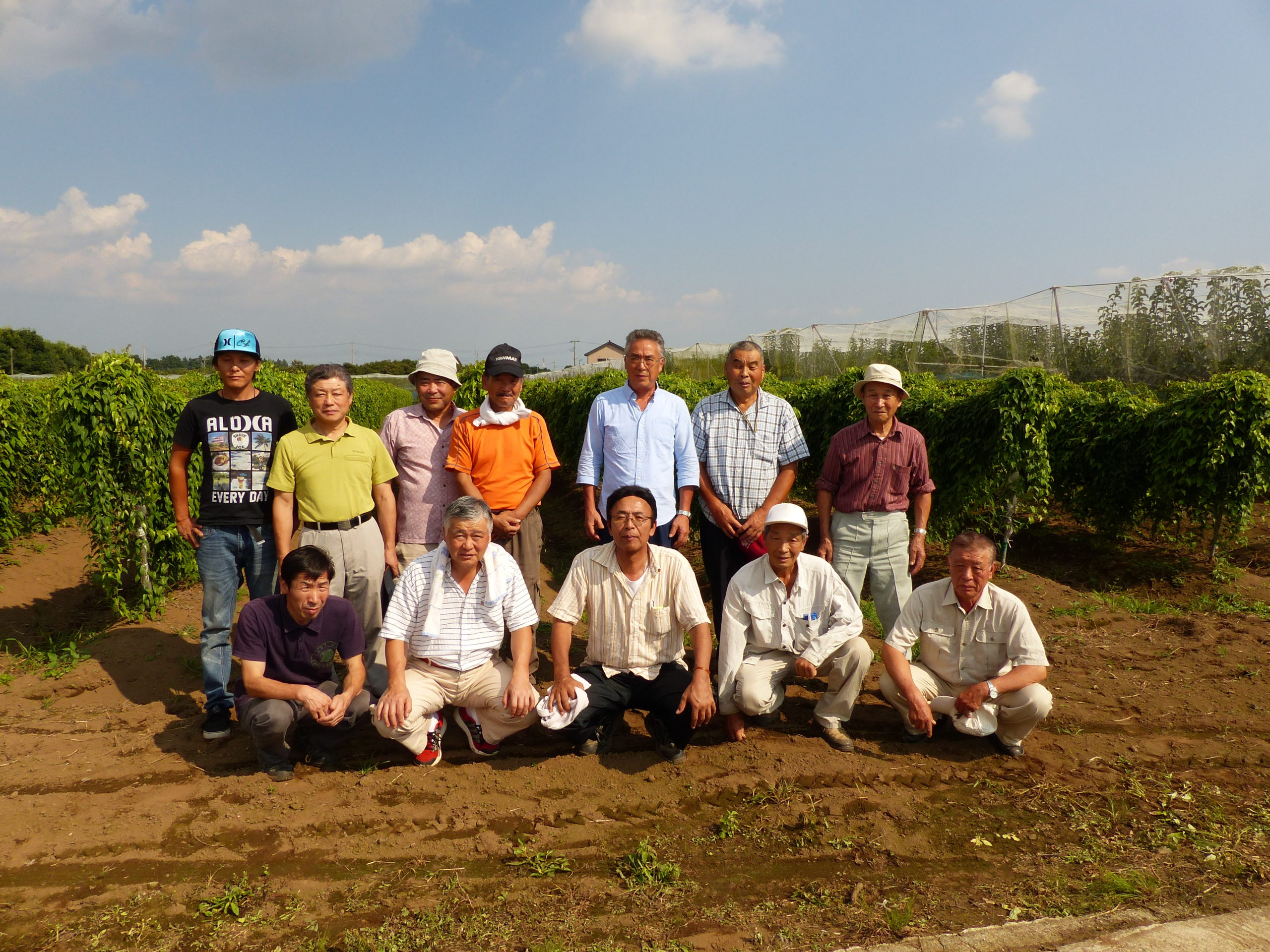 笠間自然薯研究会 栽培品質日本一へ | ホームページ制作と